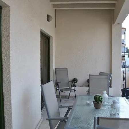 Apartment Les Palmiers City Center House